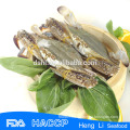 HL003 wholesale crabs of swimming crab